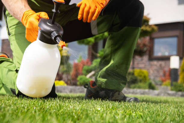Best Flea Control Services  in Roscoe, IL