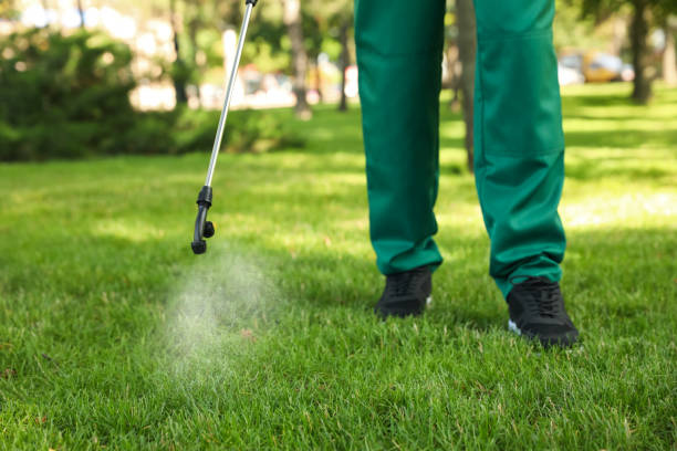 Best Rat Extermination Near Me  in Roscoe, IL