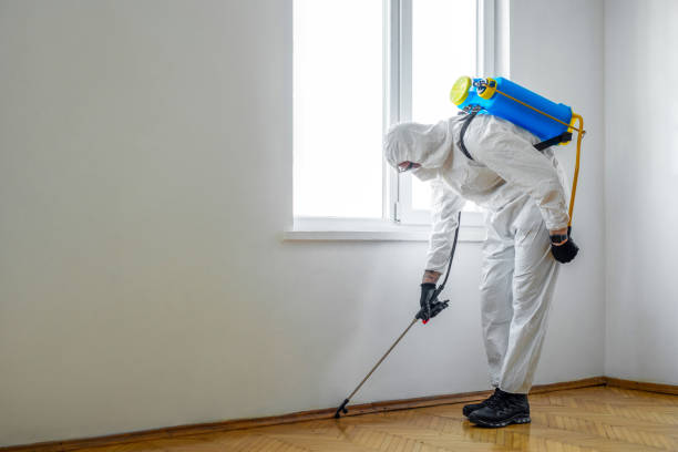 Best Mosquito Control Services  in Roscoe, IL