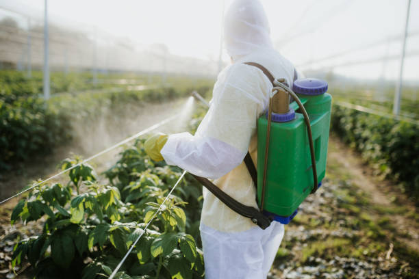 Best Best Pest Control Companies  in Roscoe, IL